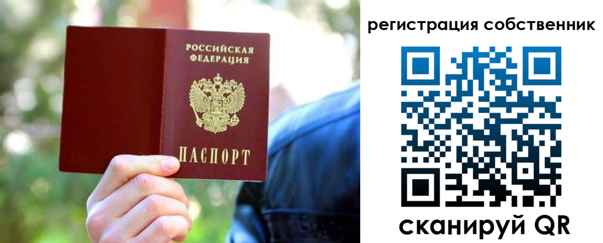 найти адрес прописки в Борзе